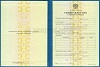 Стоимость Свидетельства о Повышении Квалификации 1997-2018 г. в Видном и Московской области